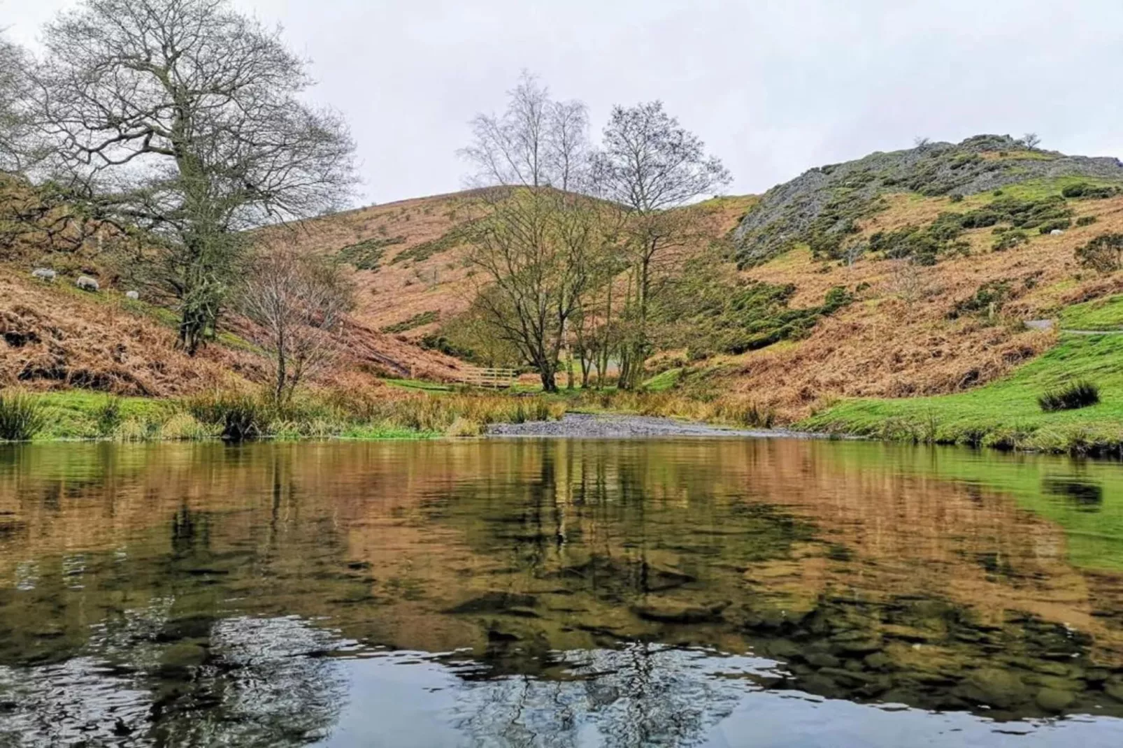 Netley Hall - Lavender-Areas within 5km in summer