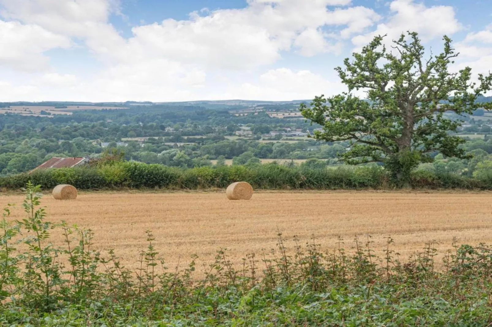 Little Rissington - The Annexe-Areas within 20km in summer