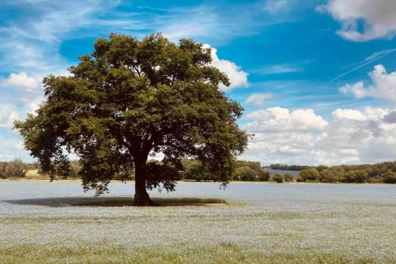 South Downs Lodge-Areas within 20km in summer