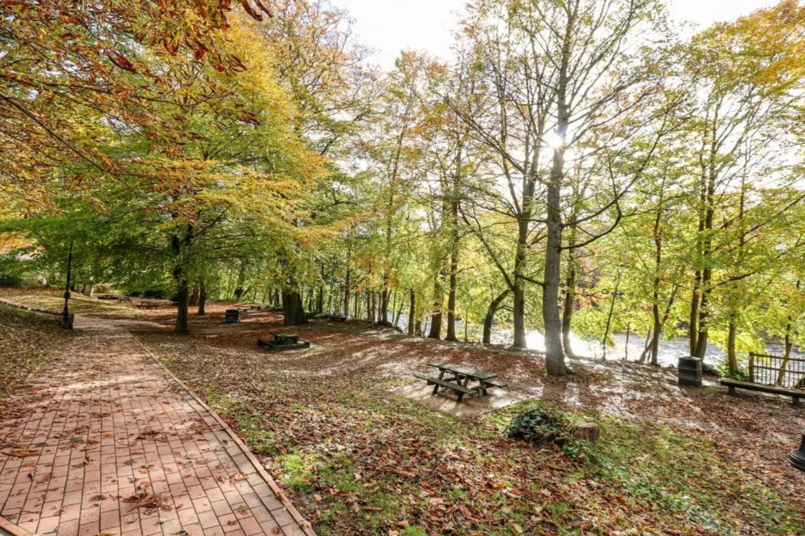 Owl Cottage-Gebiete Sommer 20 km