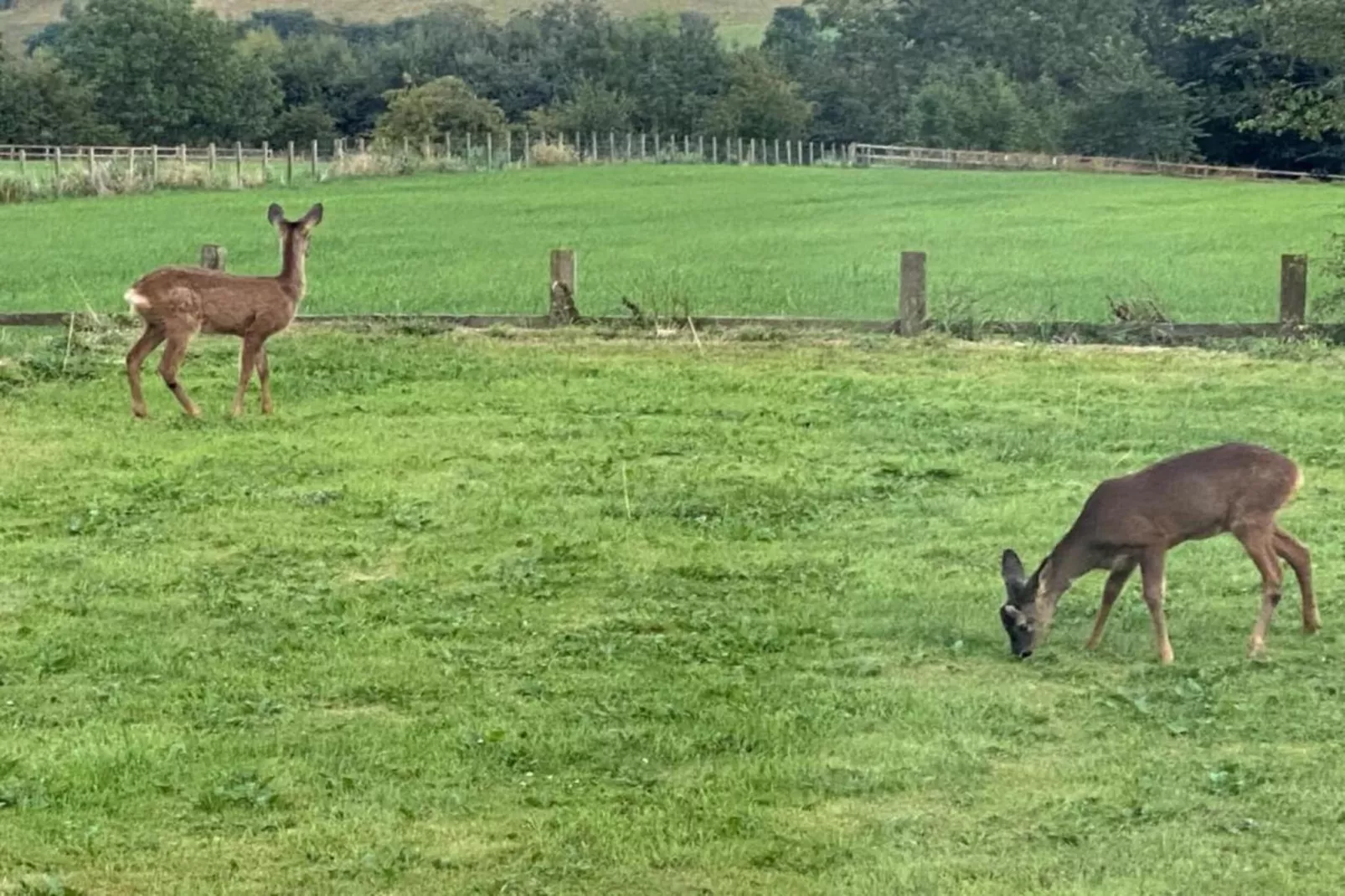 Blackcleugh Glamping-Zones été à 5 km