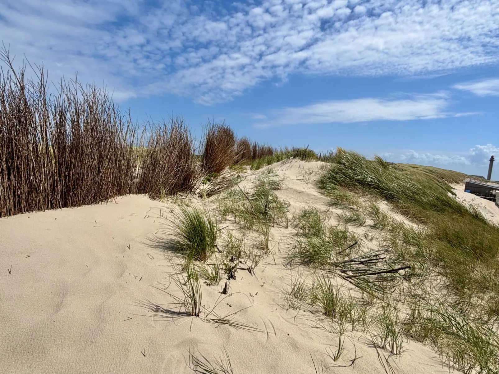 Beach House Westkapelle 107.6-Environnement