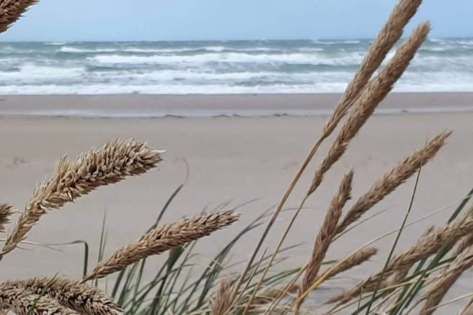 5 Sterne Ferienhaus in Løkken-Im Freien