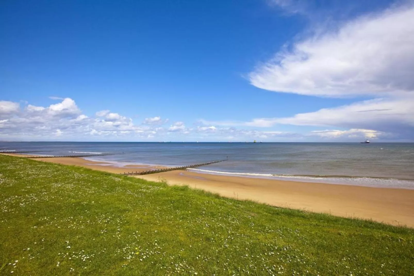 Brentwood Aberdeen  Standard Double-Areas within 20km in summer