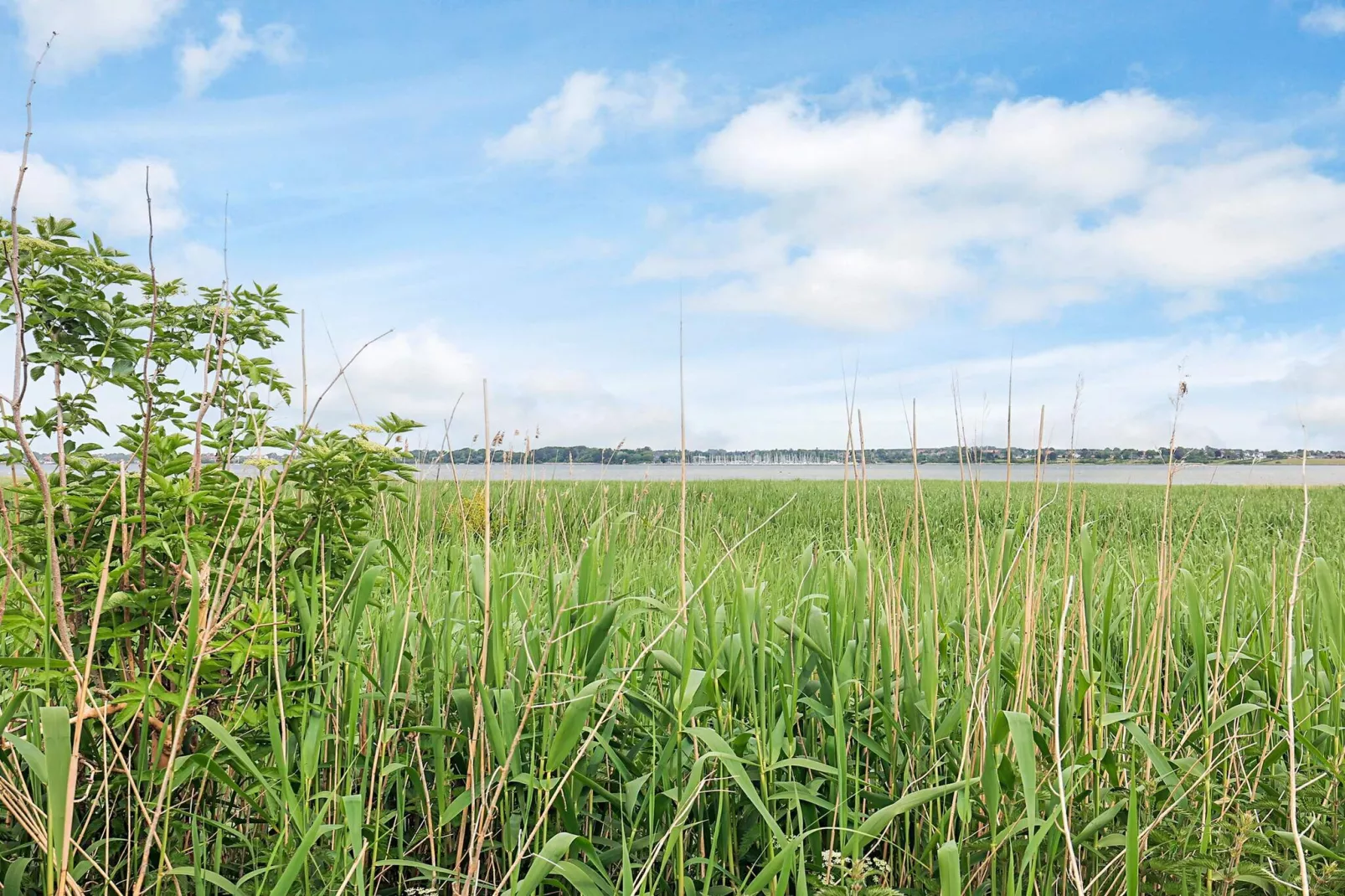 4 Sterne Ferienhaus in Jægerspris-Wasserblick