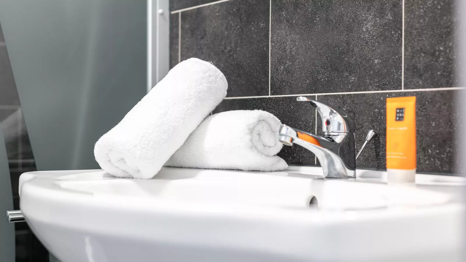 Gaisberg Alpin-Bathroom