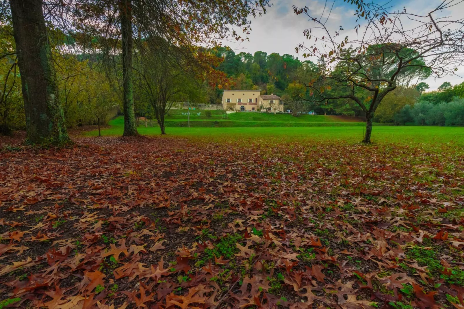 Villa Viola Residenze Seicento-Non tagué