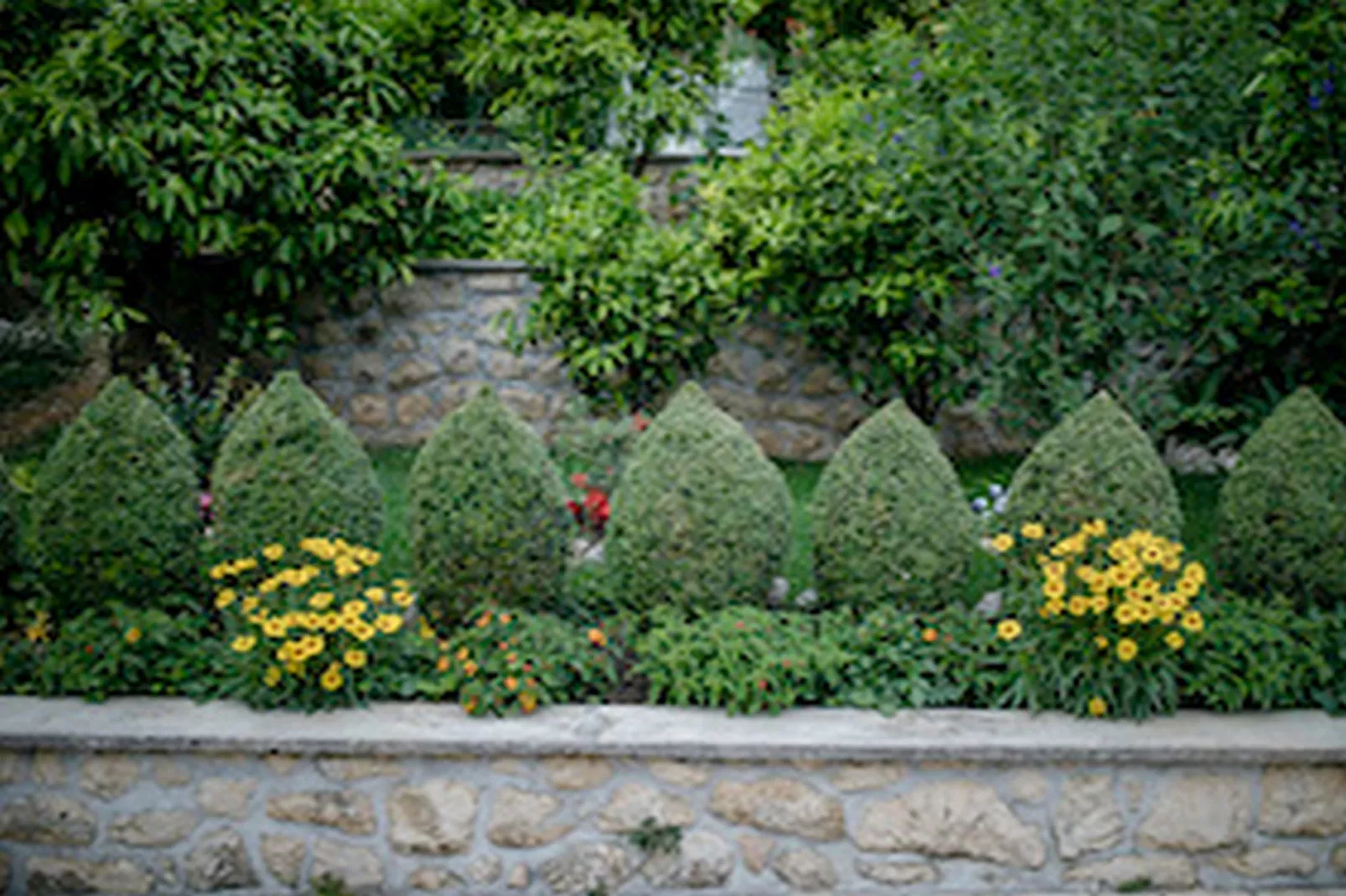 Apartments & Rooms Green Bay - Studio Apartment-Jardins en été