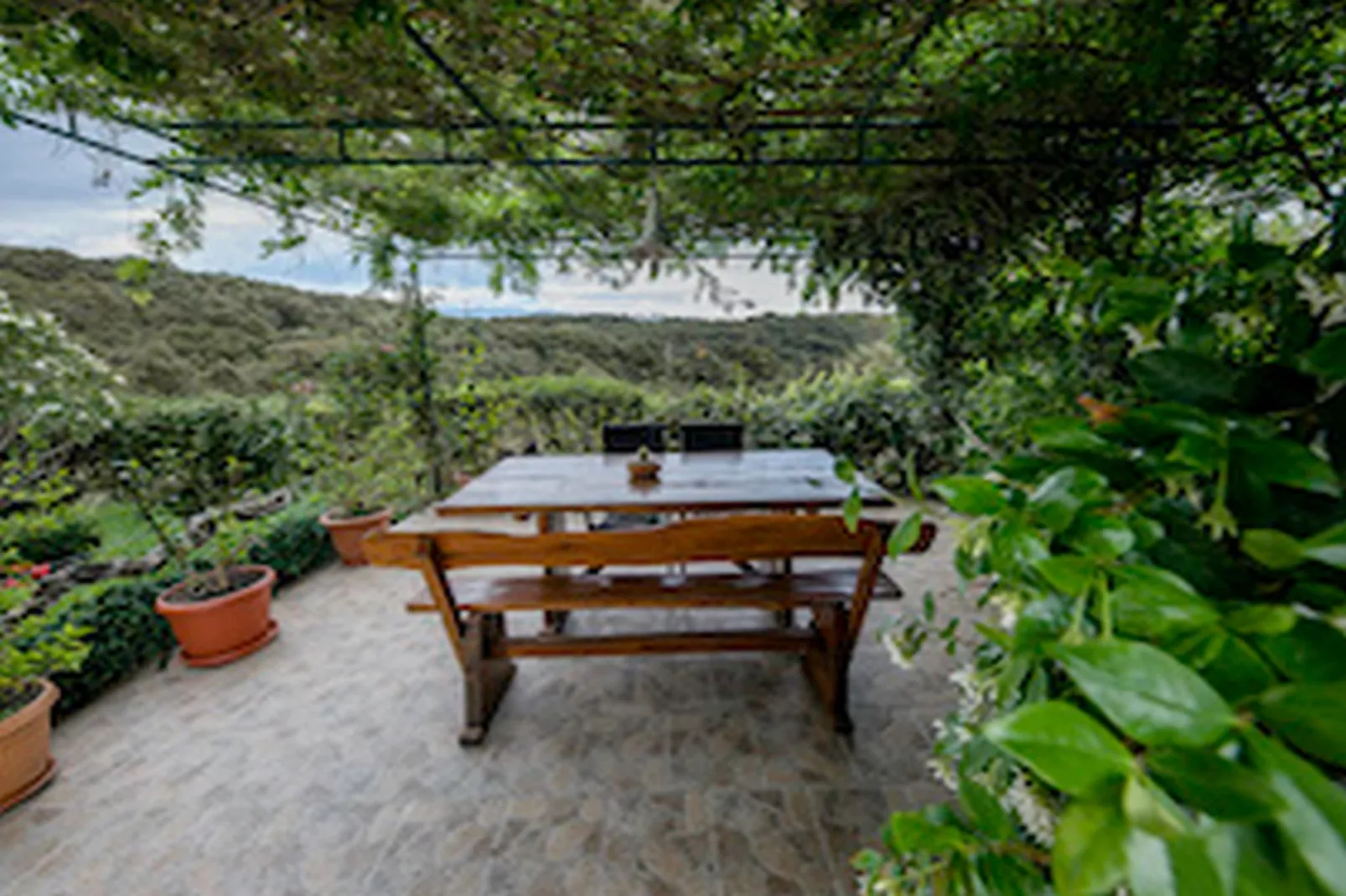 Apartments & Rooms Green Bay - Two Bedroom Apartment with Balcony and Sea View (APP 7)-Terrace