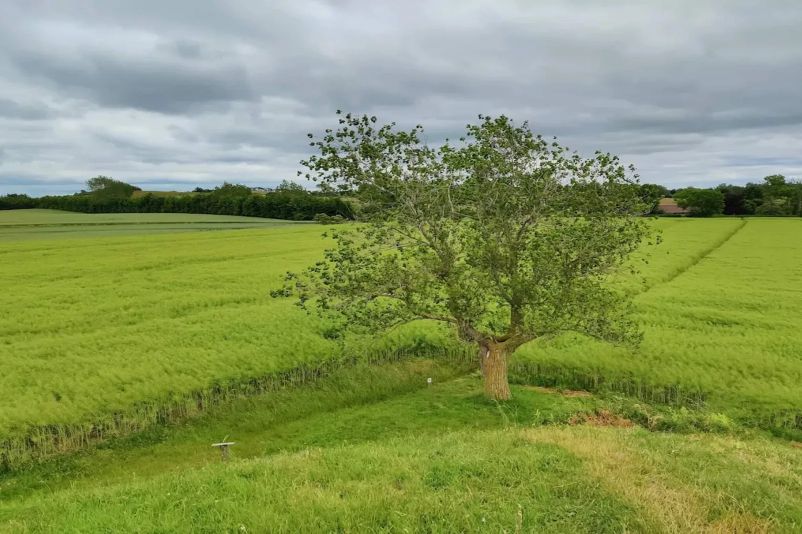 4 Personen Ferienhaus in Martofte - Nicht zugeordnet