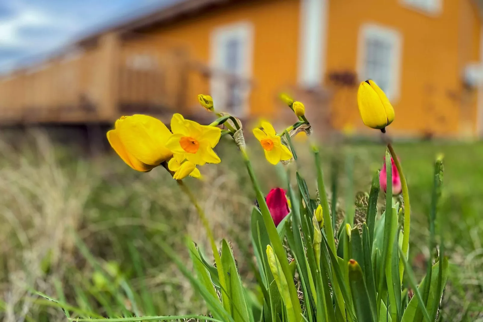 4 Sterne Ferienhaus in HALTORP-Im Freien