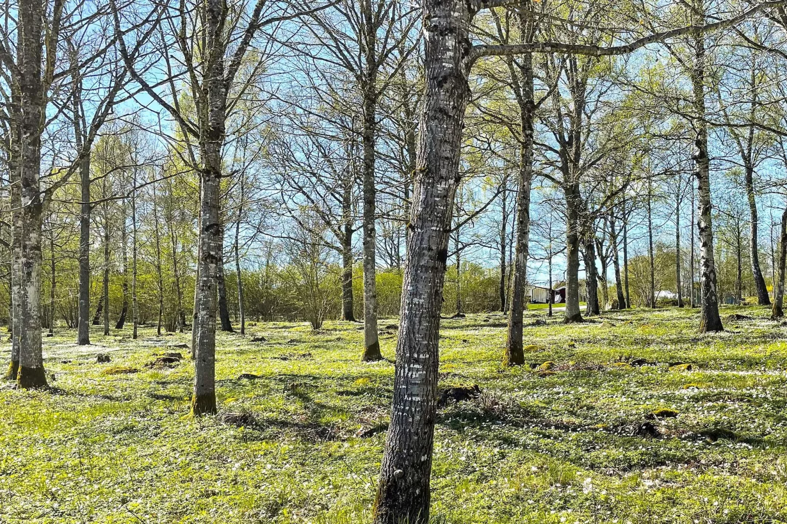 4 etoiles maison de vacances a TVÄRRED-Non tagué