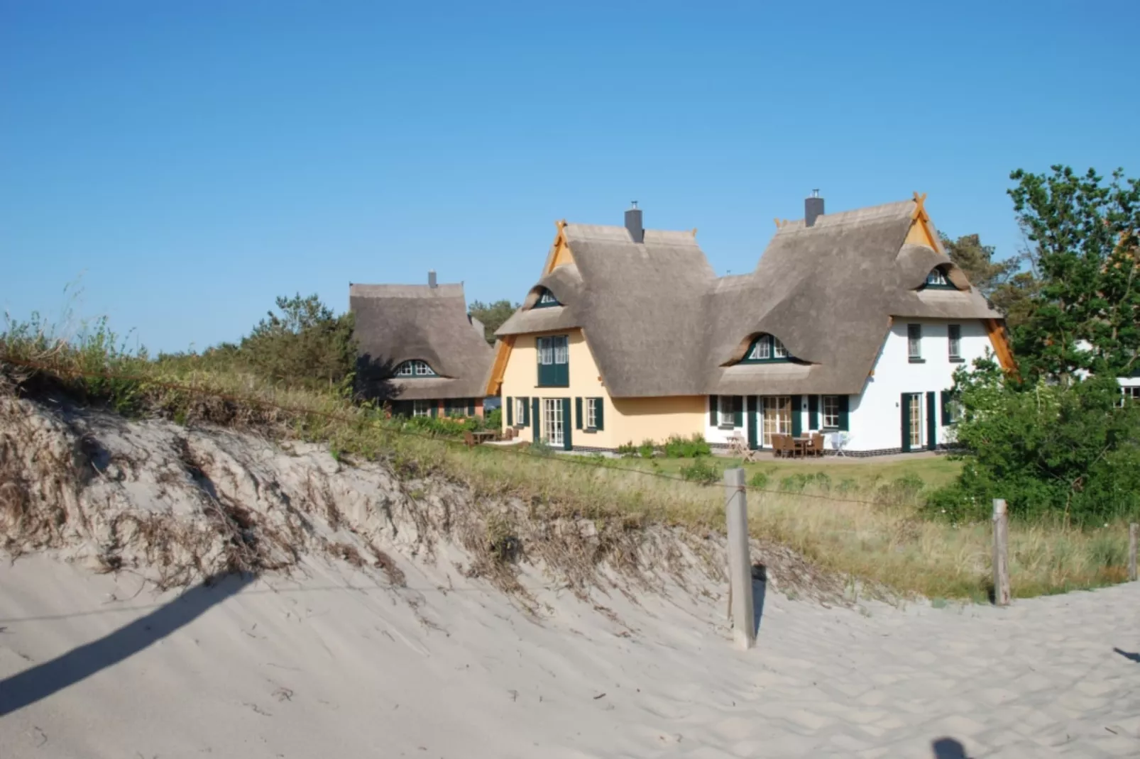 Ferienhaus Küstenwald groß - Strandhotel Fischland