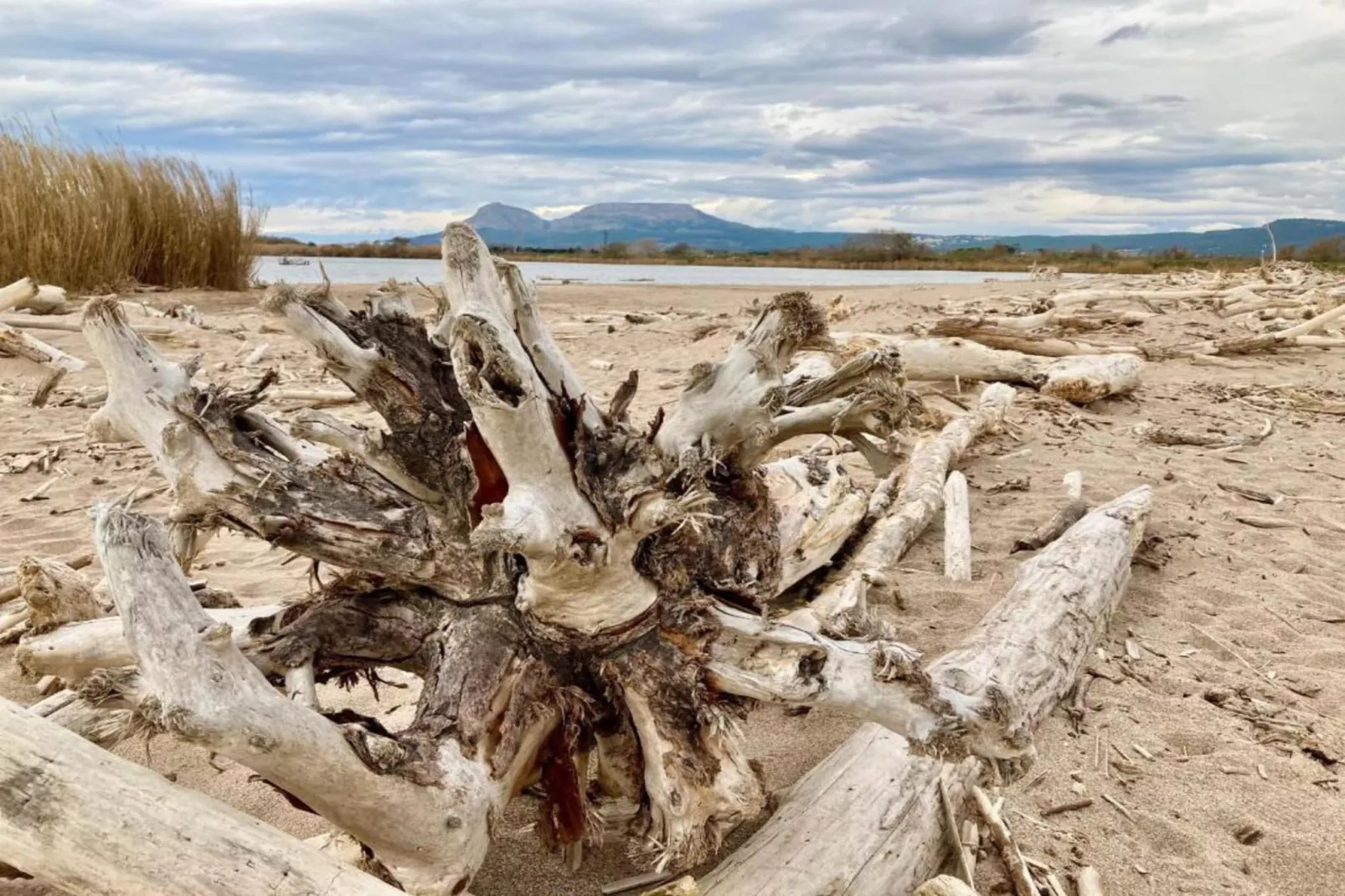 ESPIGO B 1-2-Zones été à 1 km