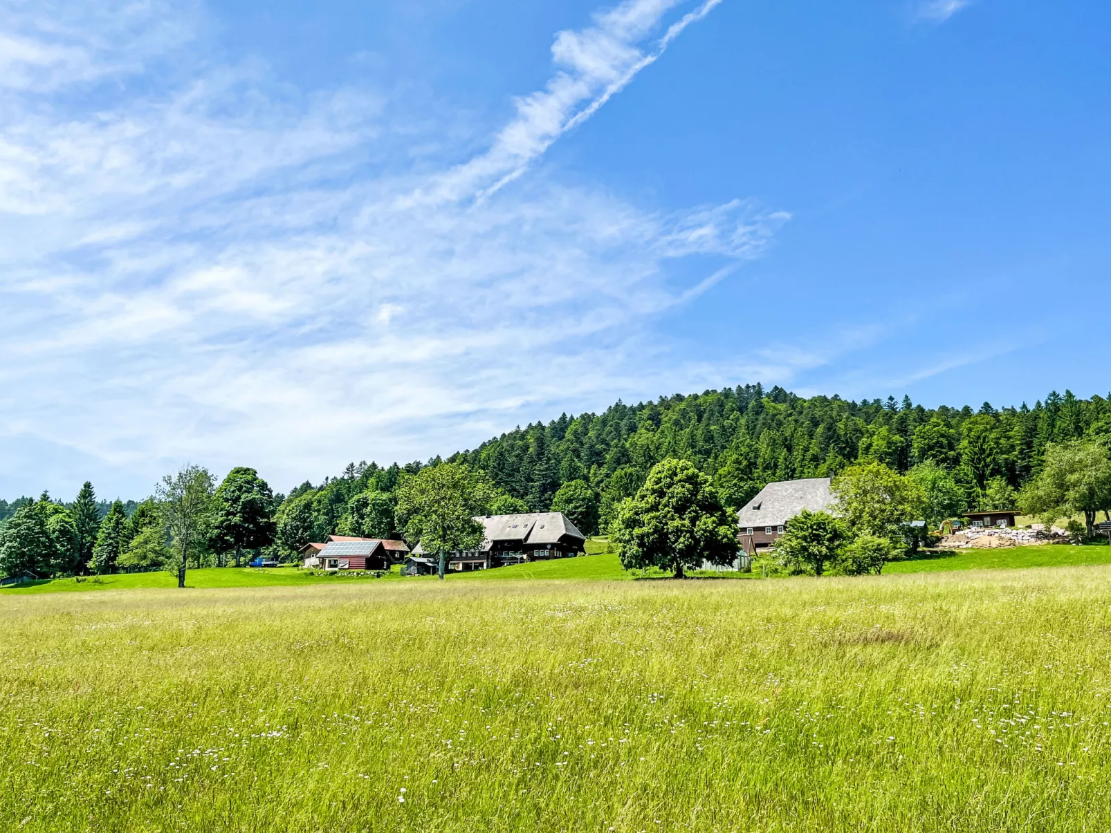 Tannenblick-Dehors