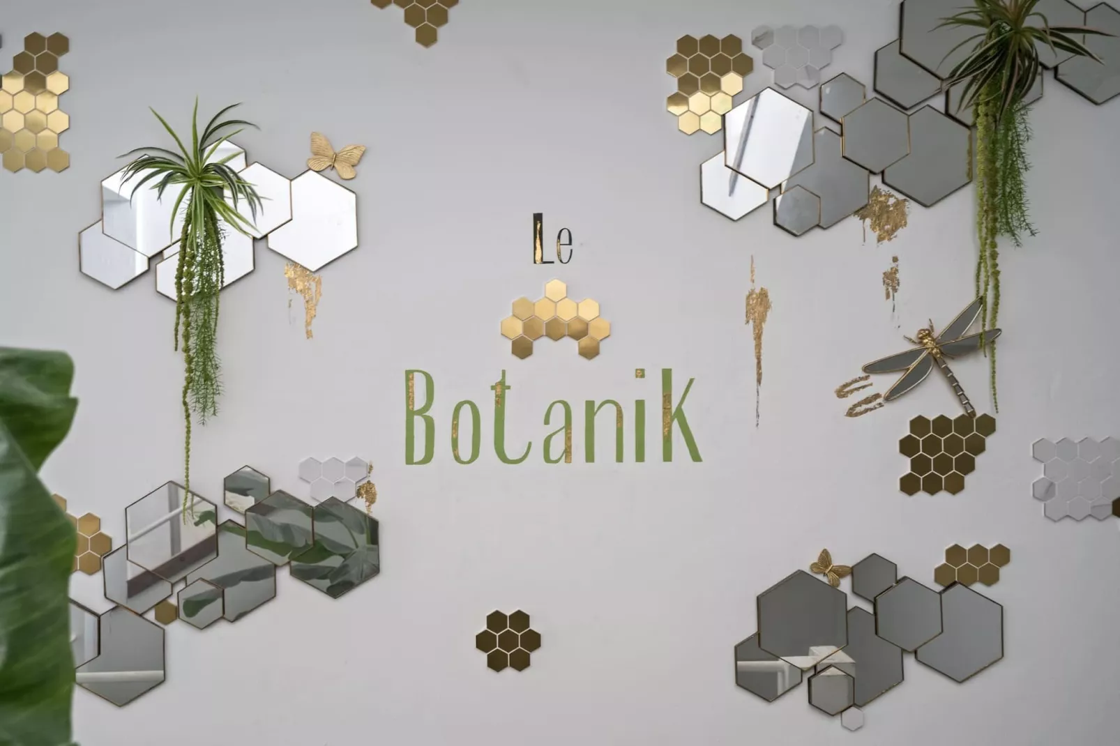 Studio Jardin Bohème-Ambiente