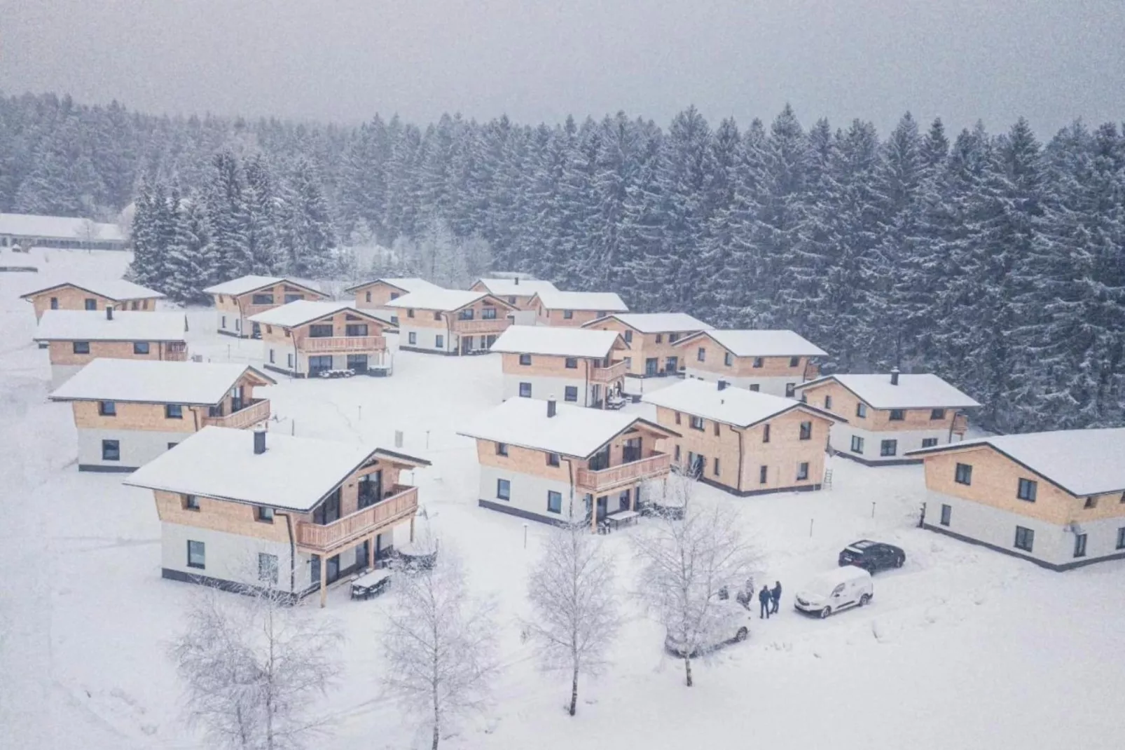 Ferienwohnung-Zones hiver à 20 km