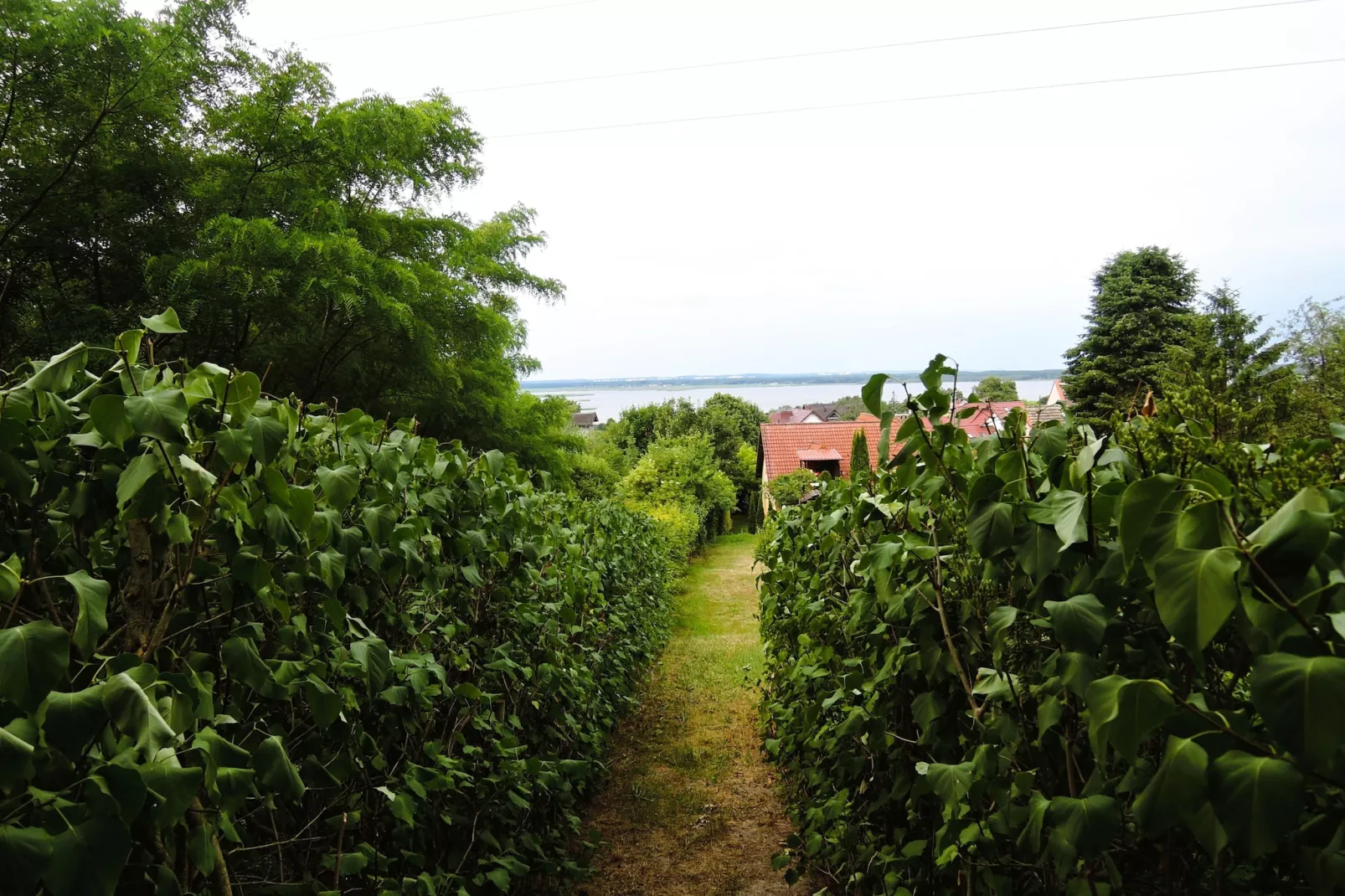 Pokój 2 osobowy nr 5 - widok na ogród-Gardens in summer