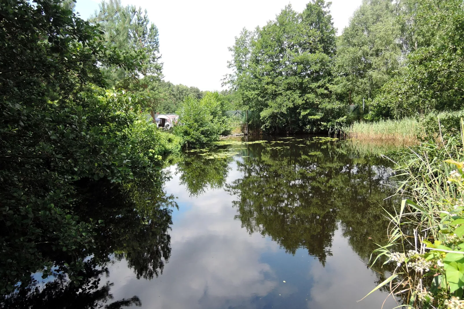 Pod świerkami pokój nr 6 dla 3 osób - Garten Sommer
