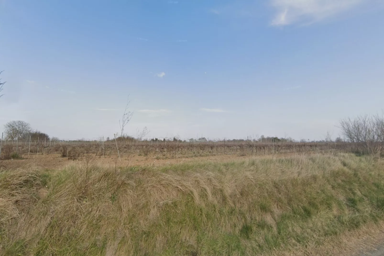 98 MAYSSA-Areas within 5km in summer