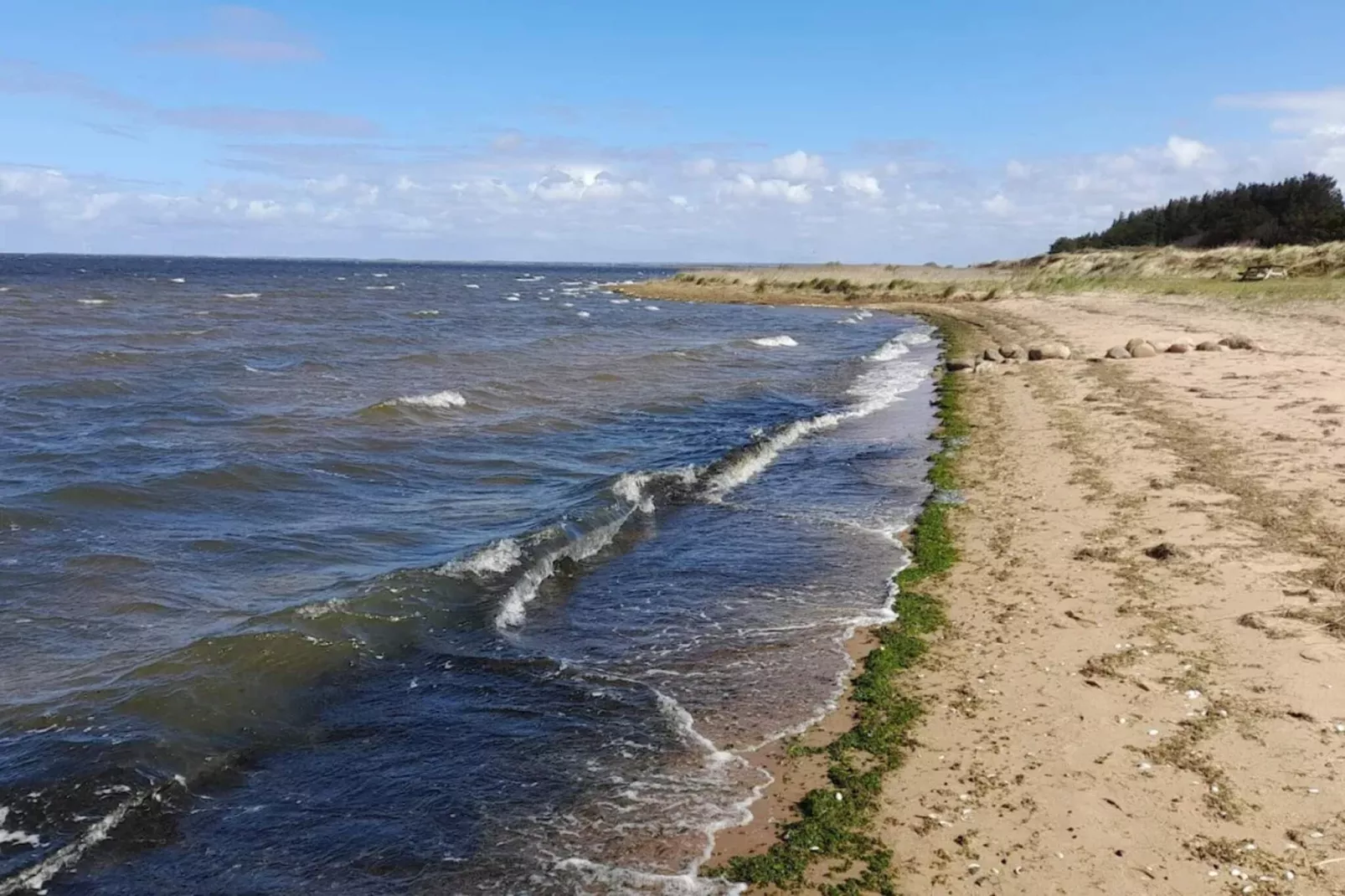 6 Personen Ferienhaus in Hemmet-Wasserblick