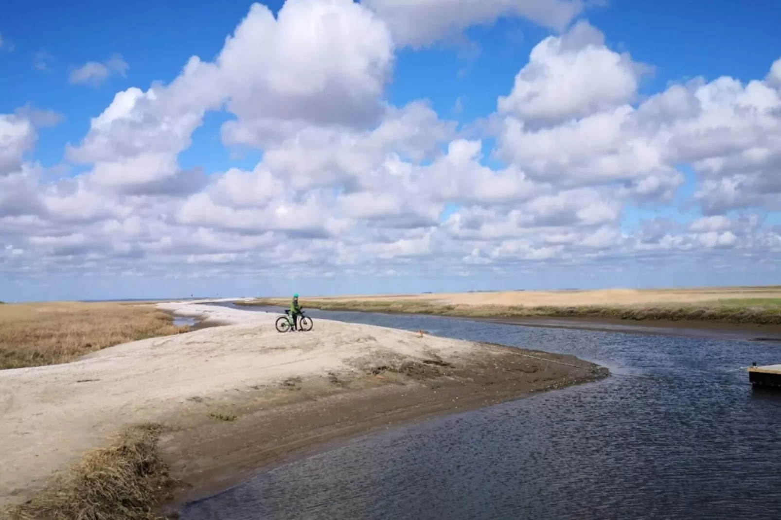 4 person holiday home in Fanø-Water view