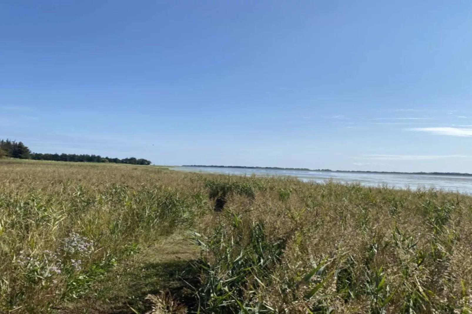 Serenite en bord de mer a Als Odde-By Traum-Non tagué