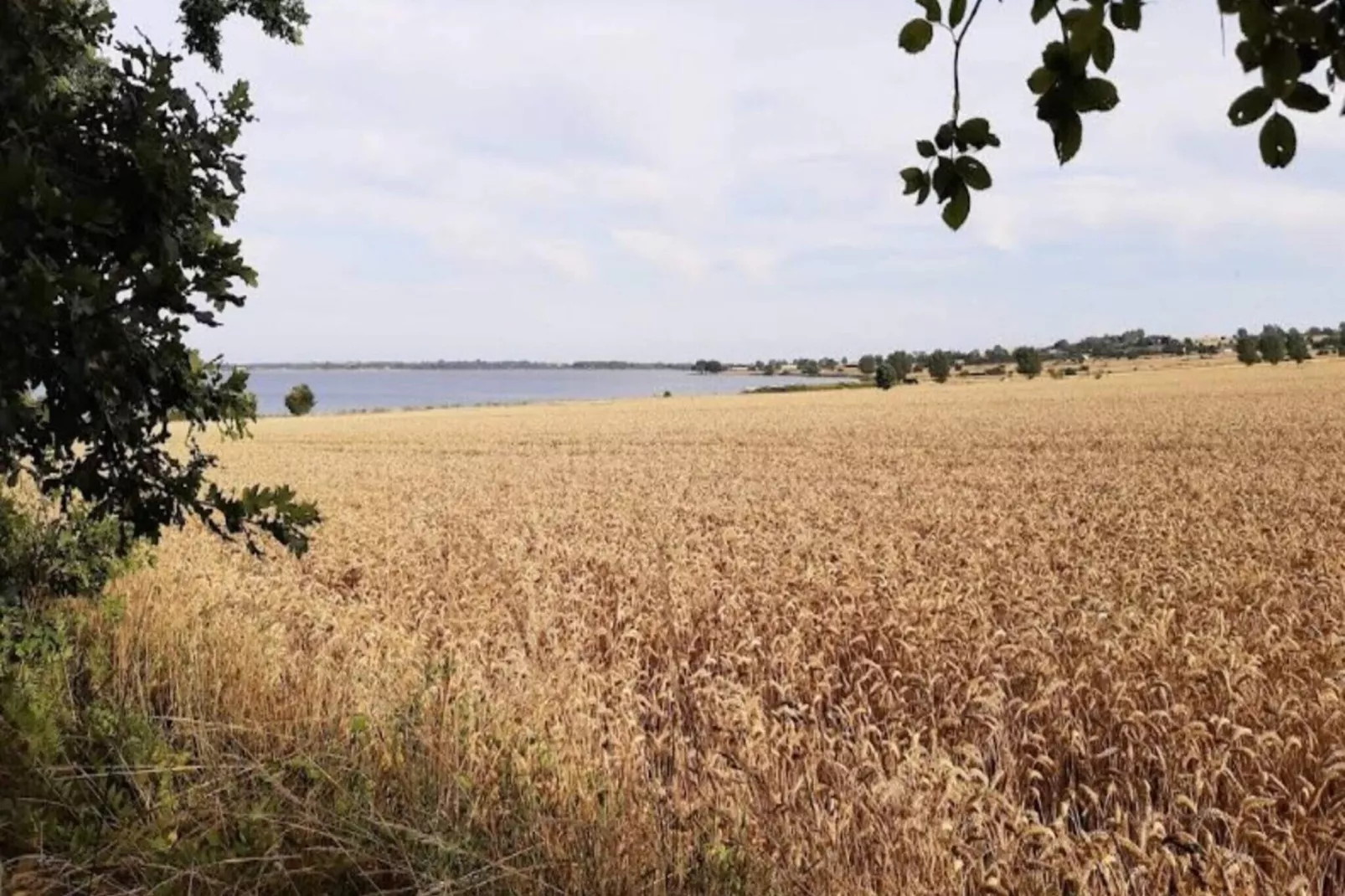 3 Personen Ferienhaus in Ærøskøbing-By Traum-Im Freien