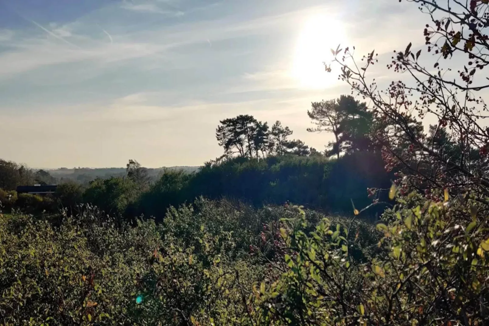 Maison de vacances pour 6 a Nykøbing Sj-By Traum-Vue sur l'eau