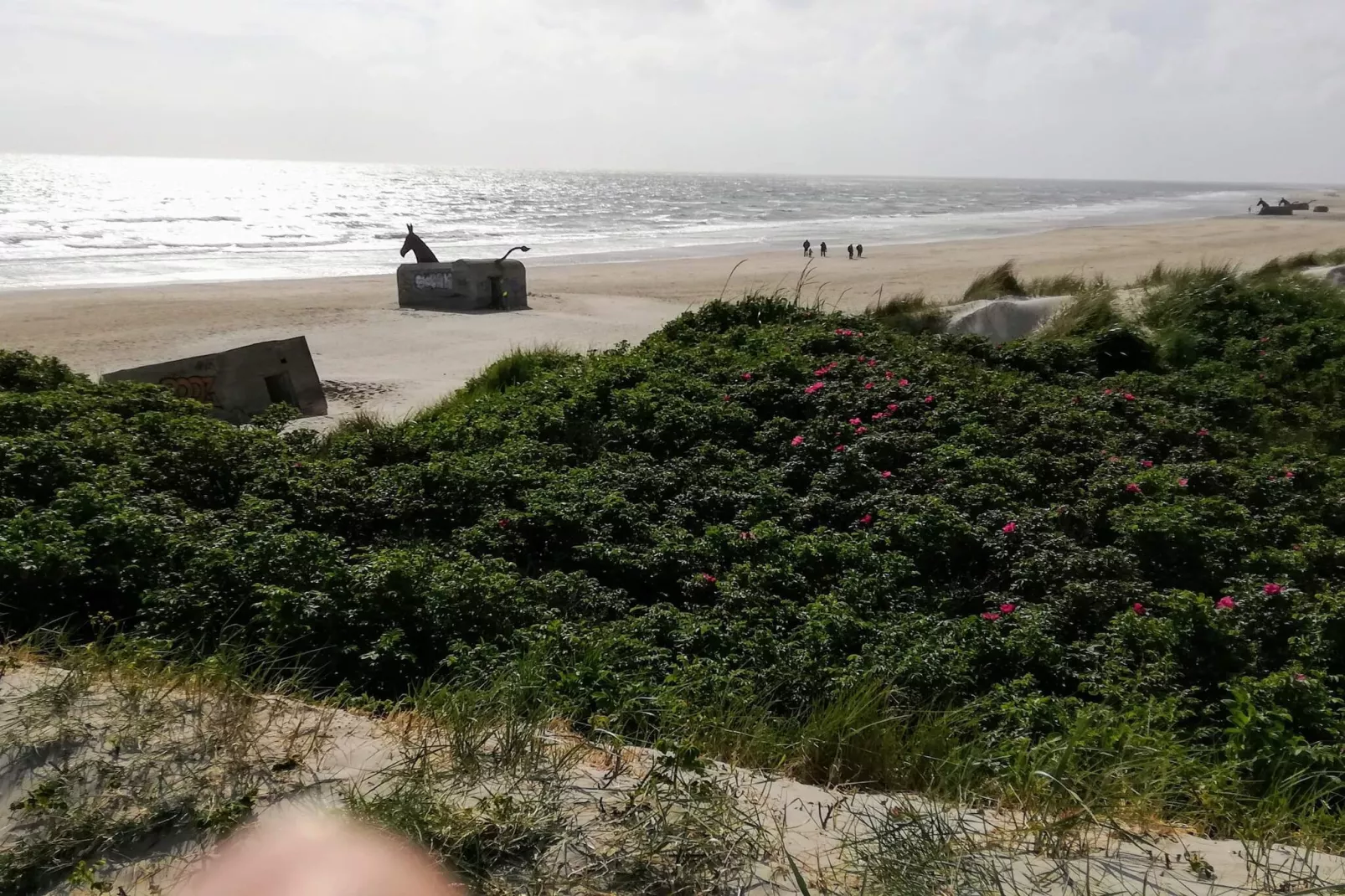 Secluded Retreat in Blavand - By Traum Ferienwohnungen-Water view