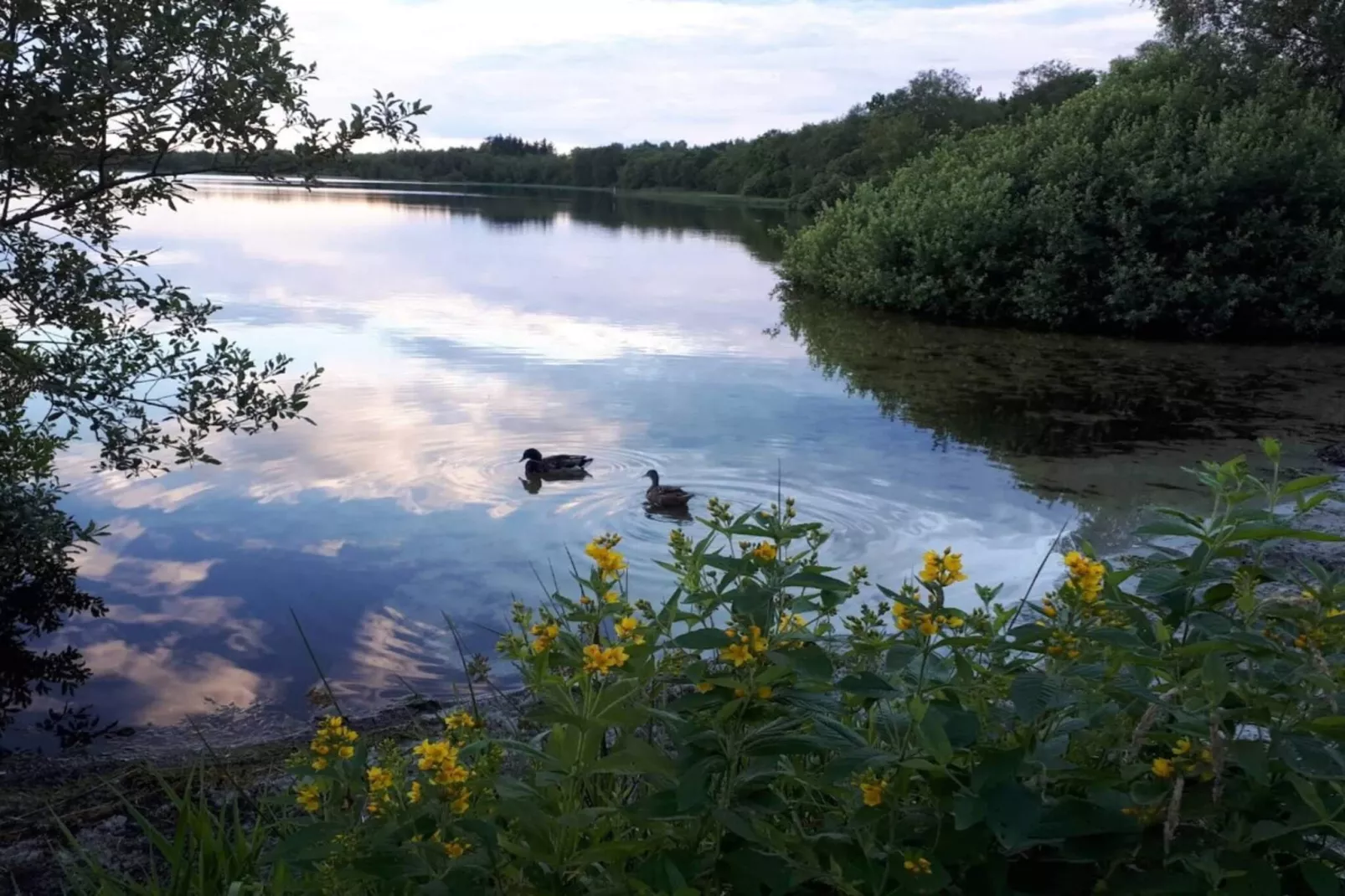 6 person holiday home in Ansager-By Traum-Water view