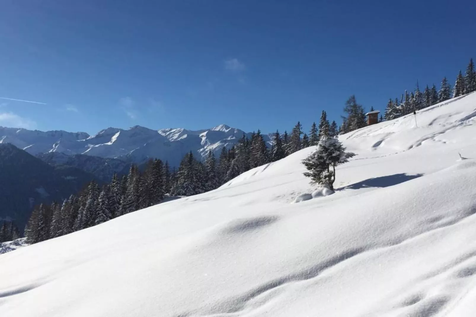 Oberkranzhof xl-Area within 20km in winter
