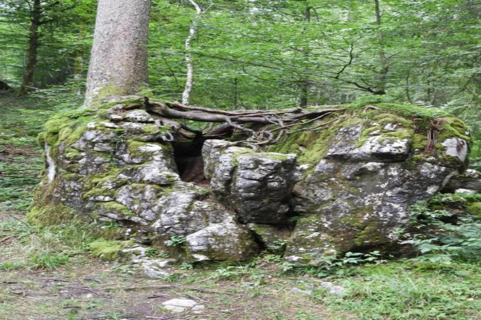 Chalet Steffko-Areas within 20km in summer
