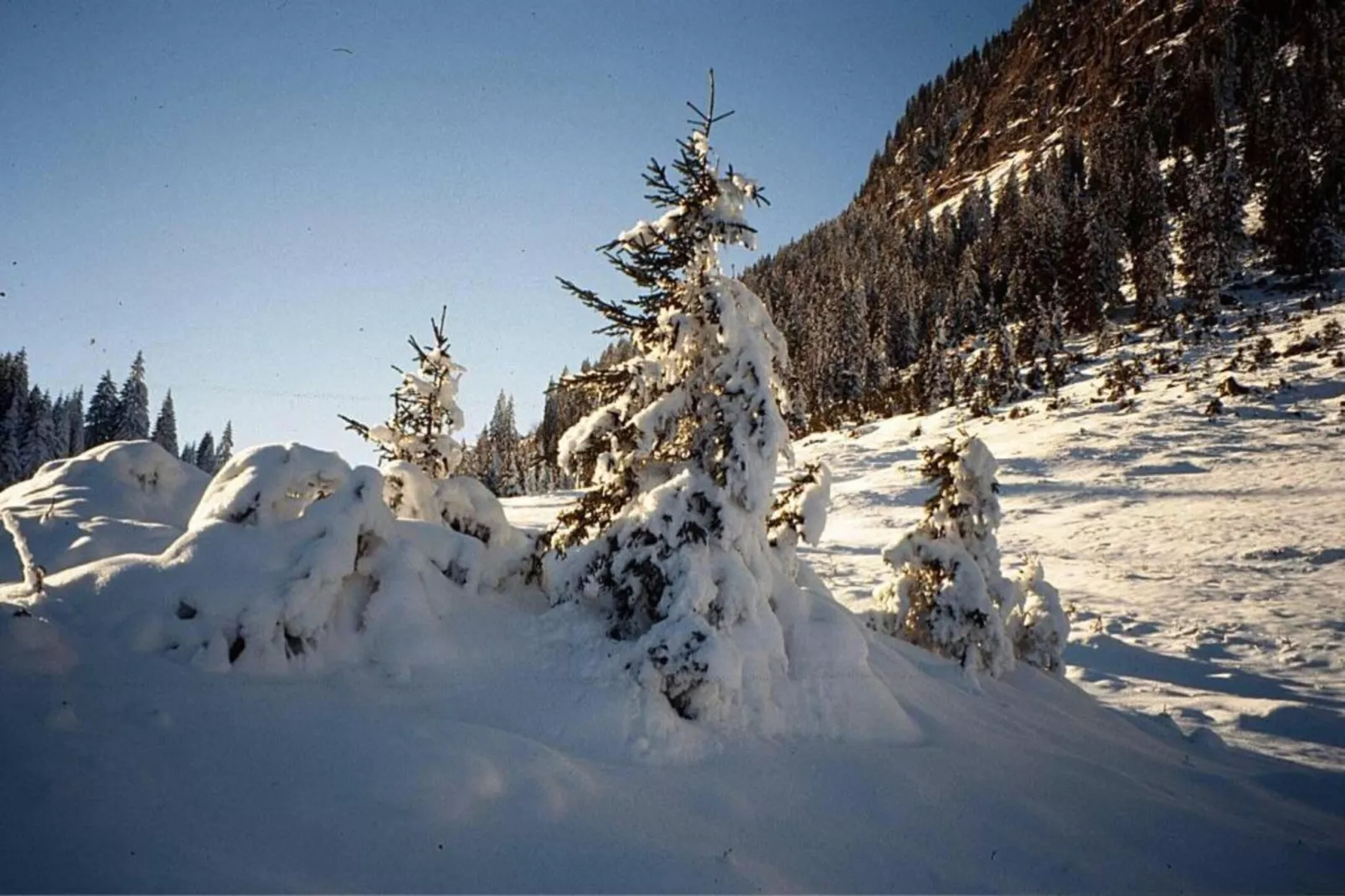 Bials-Area within 20km in winter