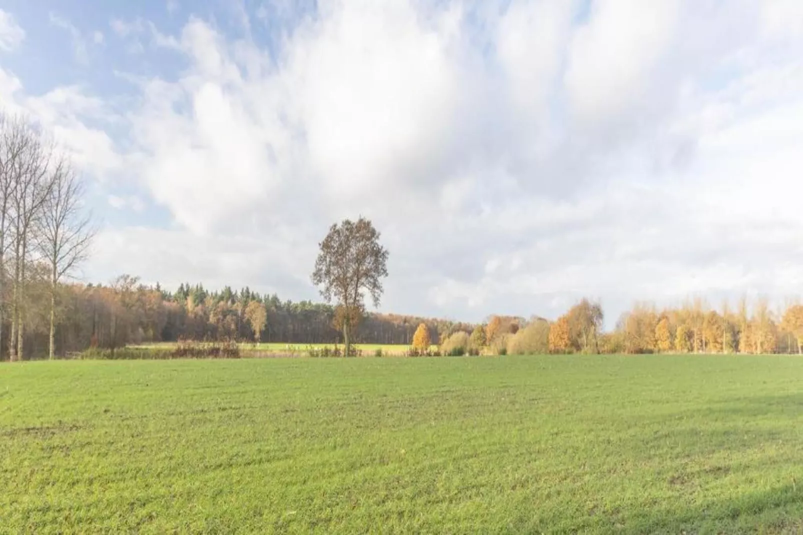 Broville-Gebiete Sommer 20 km