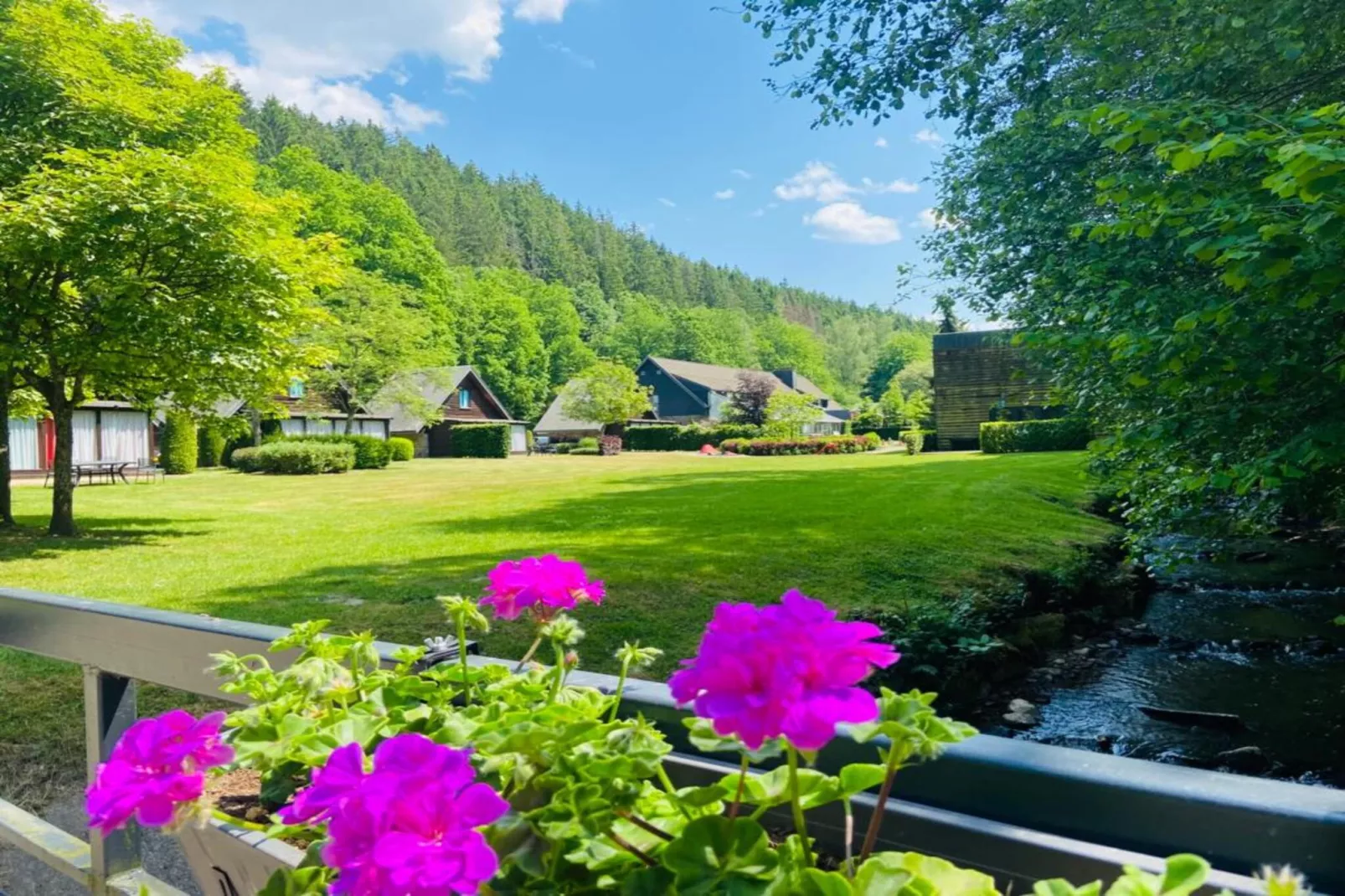 Cottage Famille-Jardins en été