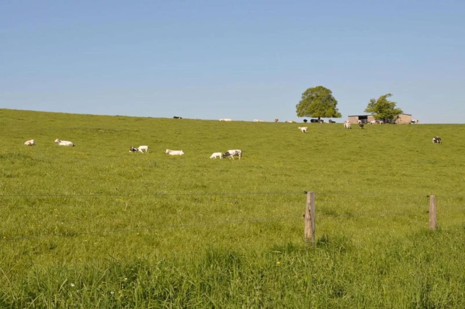 La Cantonière-Zones été à 20 km