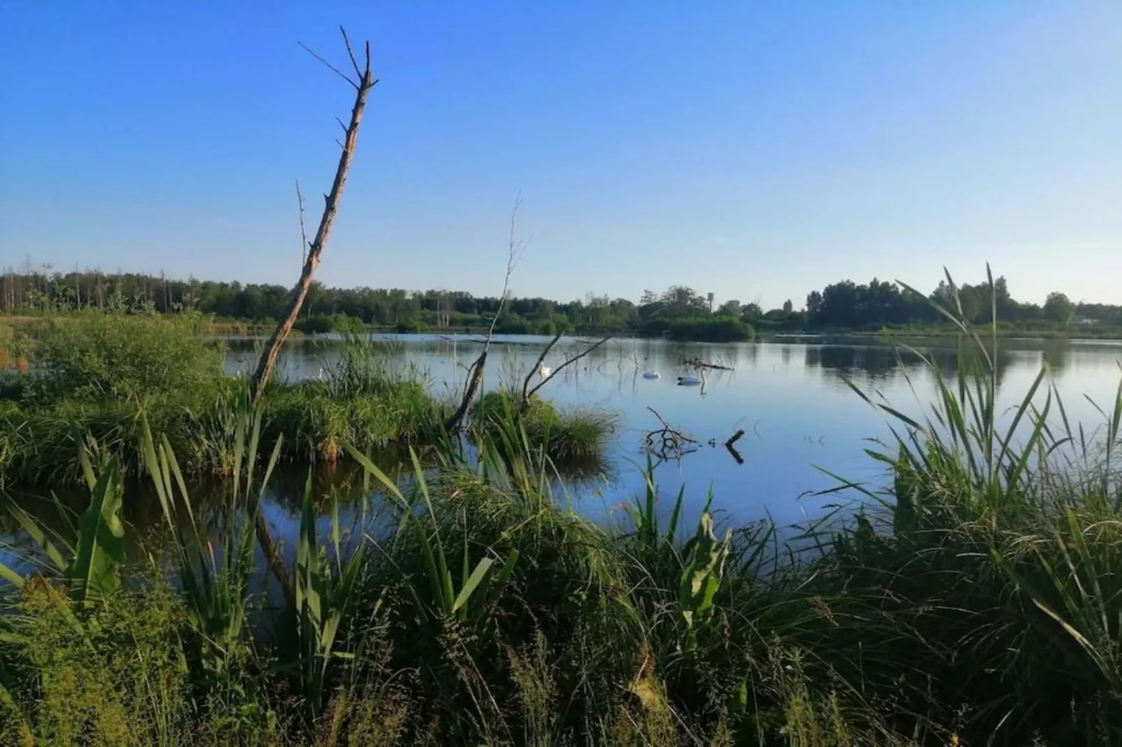 Le Bochetay 12-Areas within 20km in summer