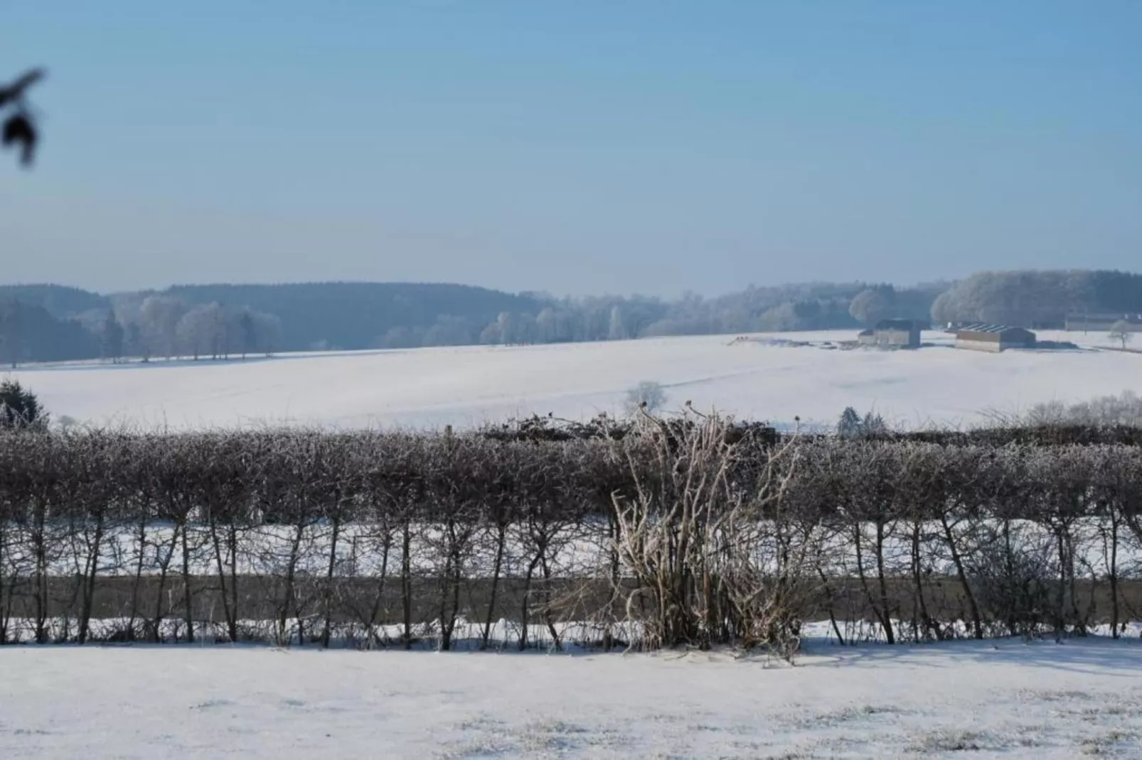 Jardin de l'Ourthe 22-Area within 20km in winter