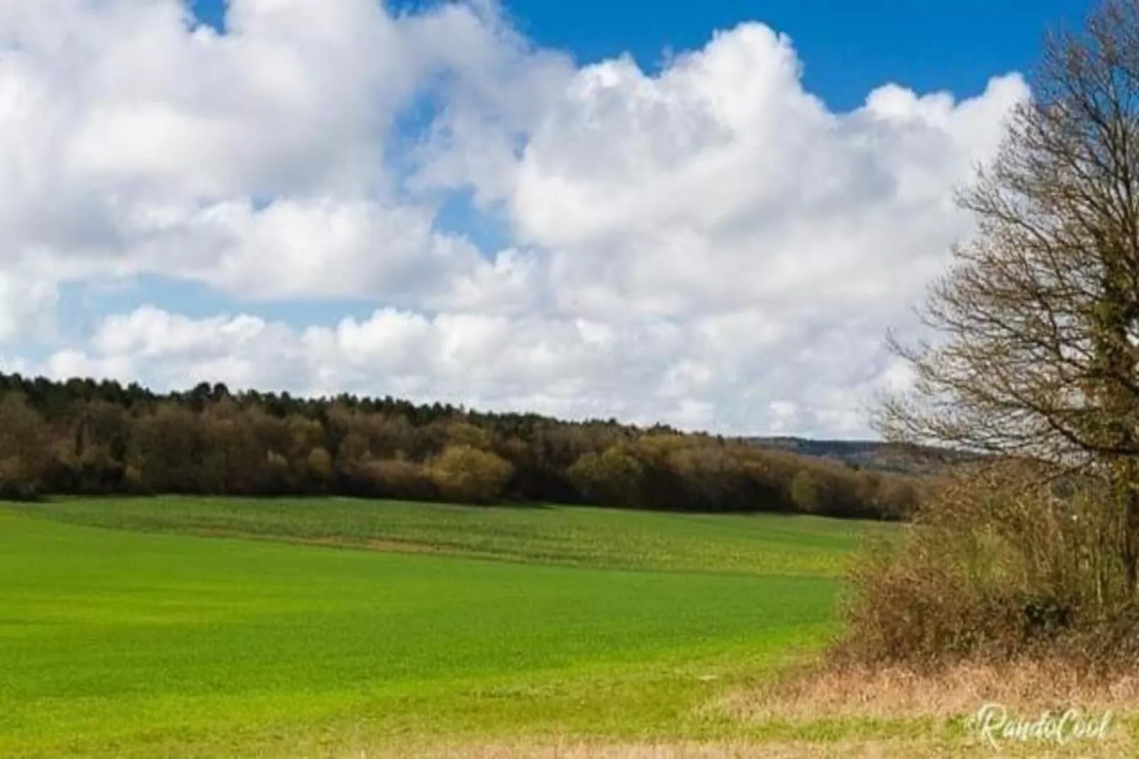 Verblijfpark Ardinam 1-Areas within 20km in summer
