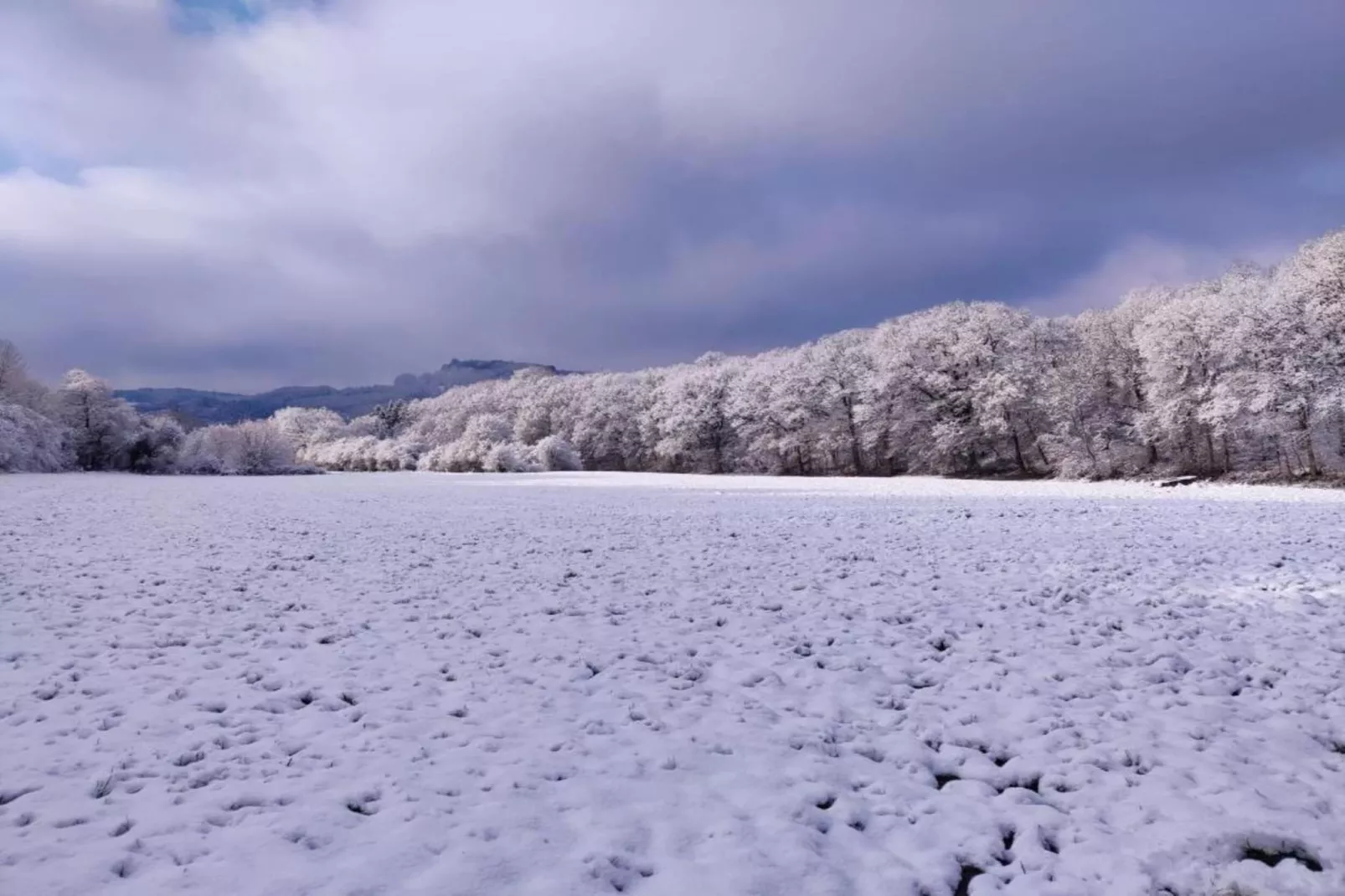 Résidence Durbuy 10-Area within 5km in winter