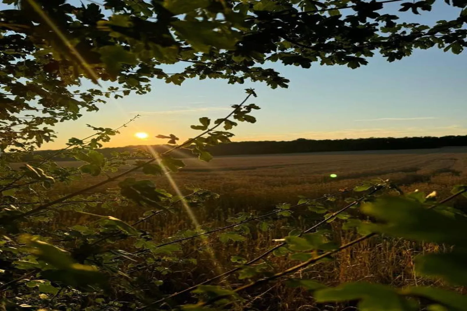Maison Loïc-Gebiete Sommer 20 km