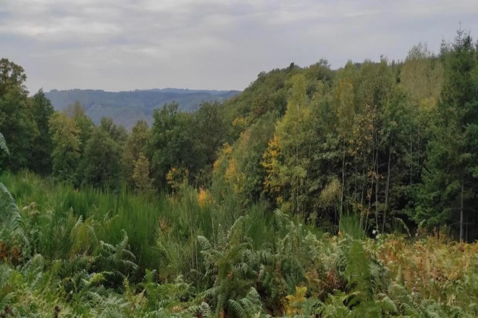 Le Chession-Areas within 20km in summer