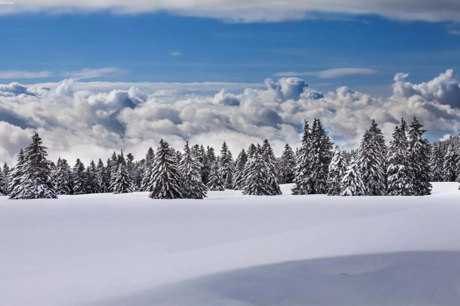 Chalet Edge-Area within 5km in winter