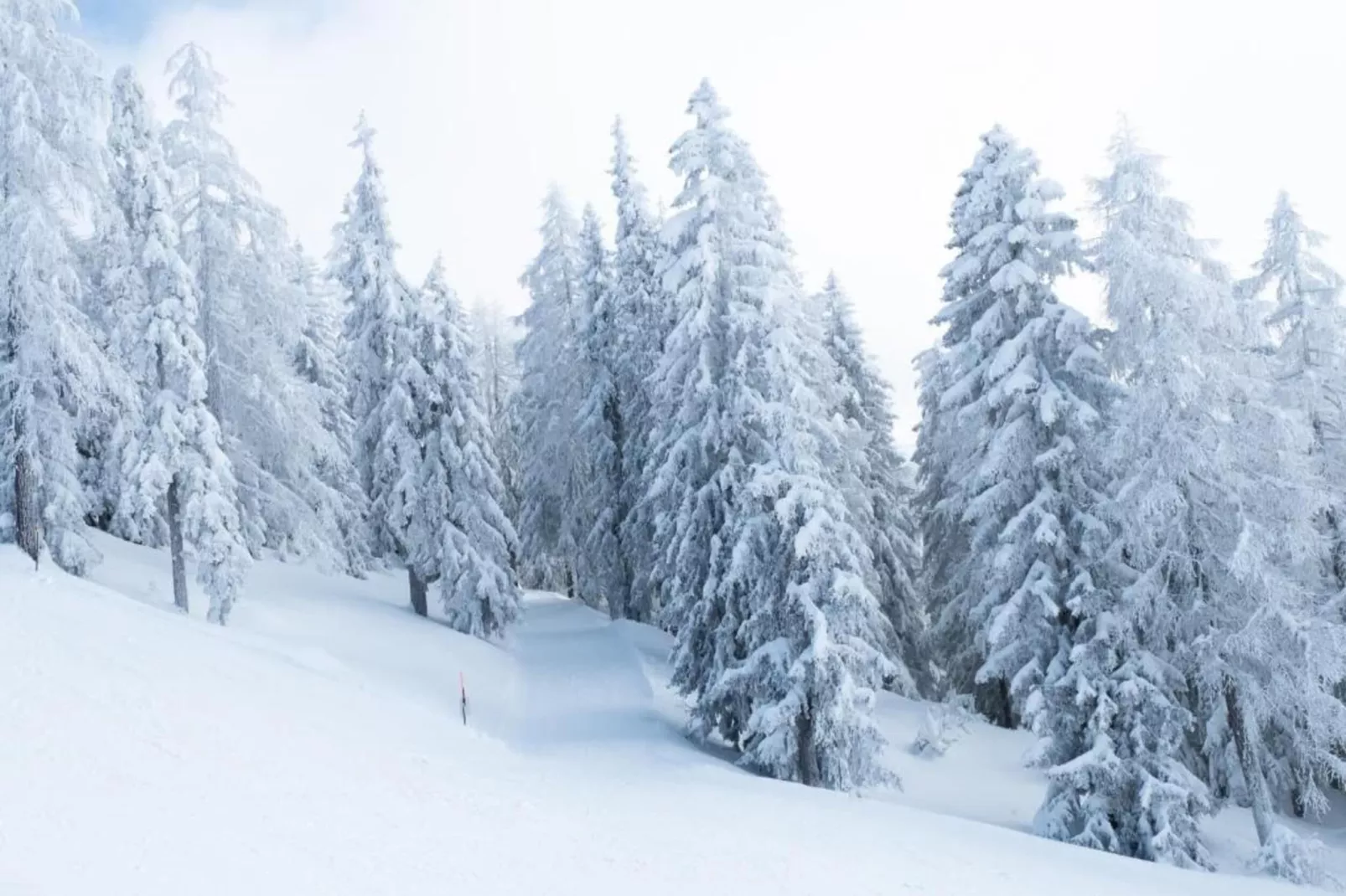 Bel Air-Area within 5km in winter