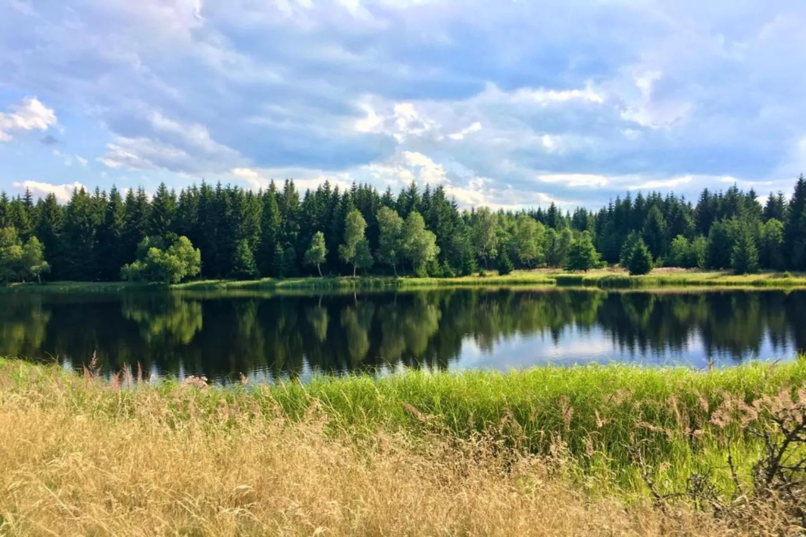 Stela-Areas within 5km in summer