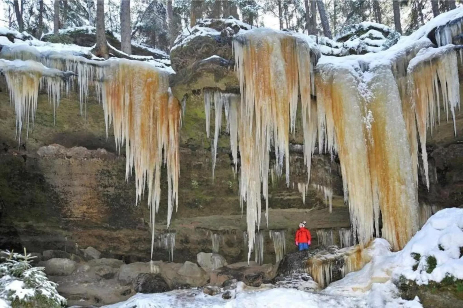 Barbora-Area within 5km in winter
