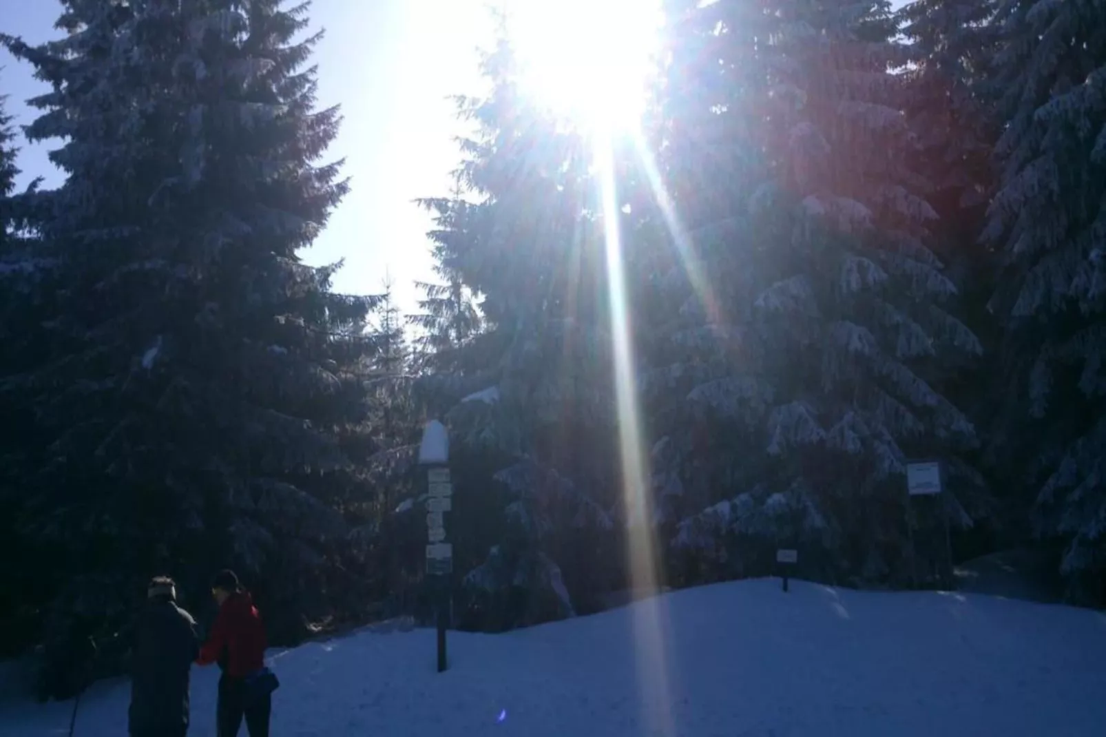 Monika-Area within 5km in winter