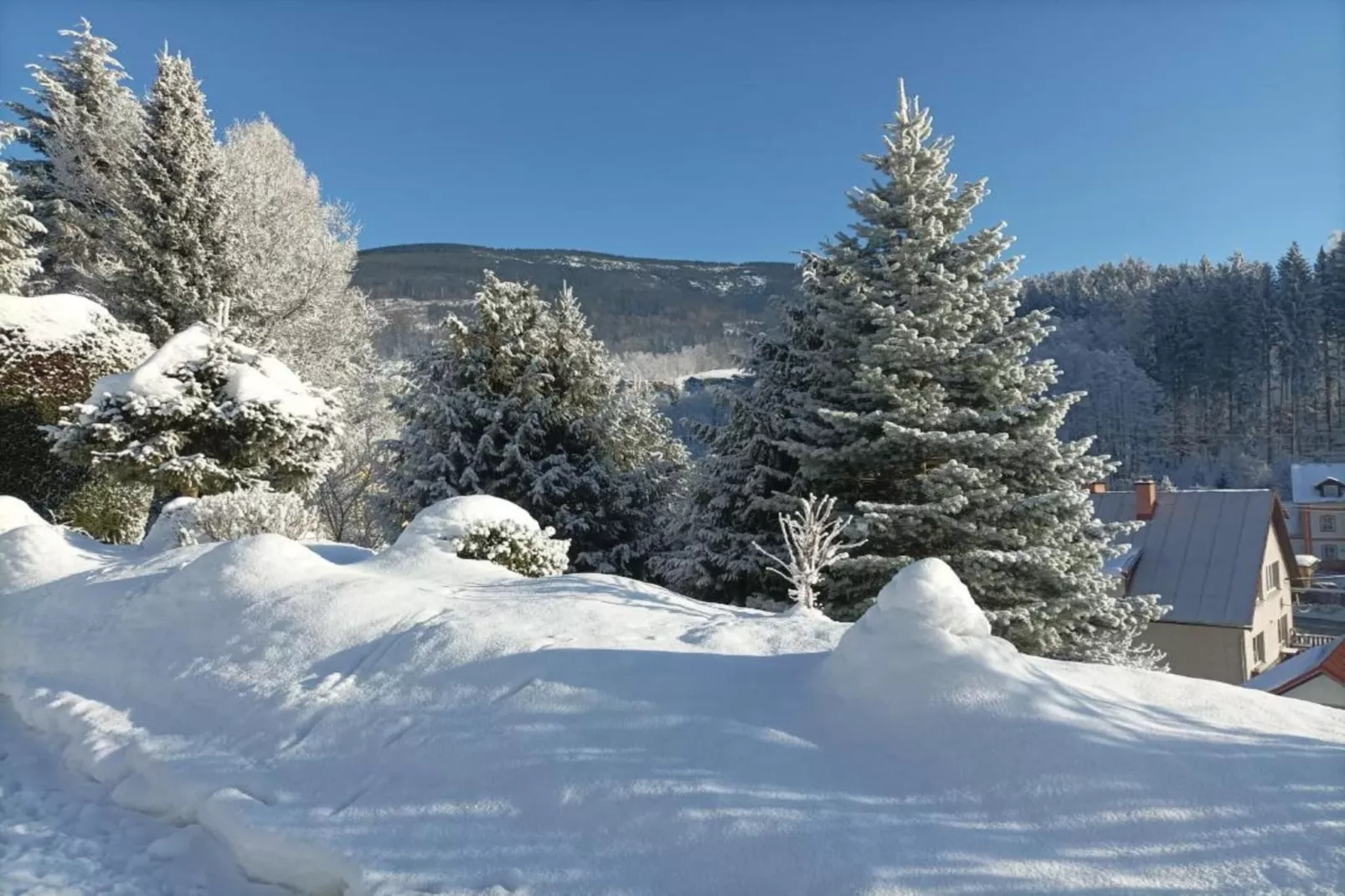 Rokytno-Area within 20km in winter