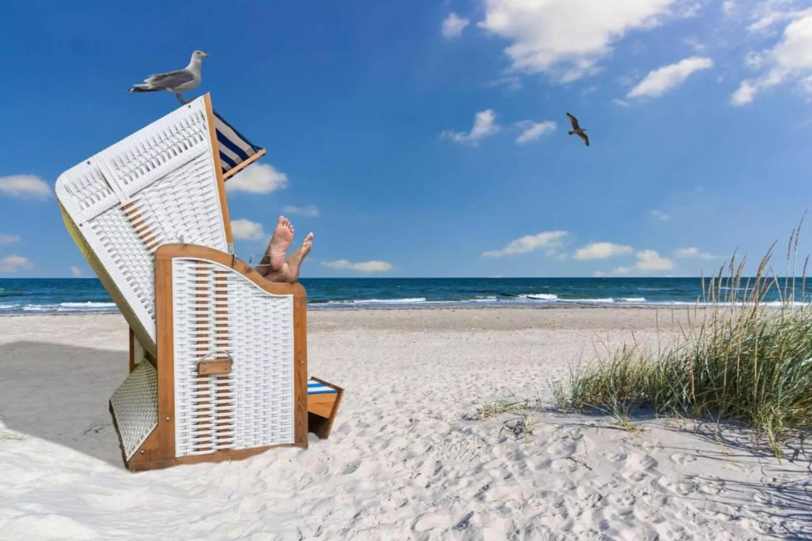 Ferienwohnung Gerda strandnah-Areas within 20km in summer